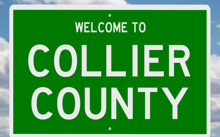 RMSFF Co-sponsors a Second Collier County Community Assessment