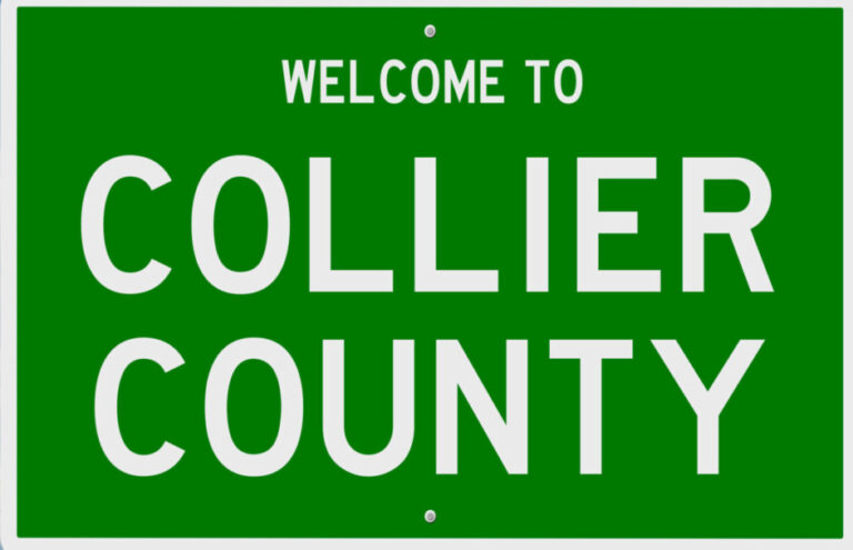 RMSFF co-sponsors new Collier County Community Assessment